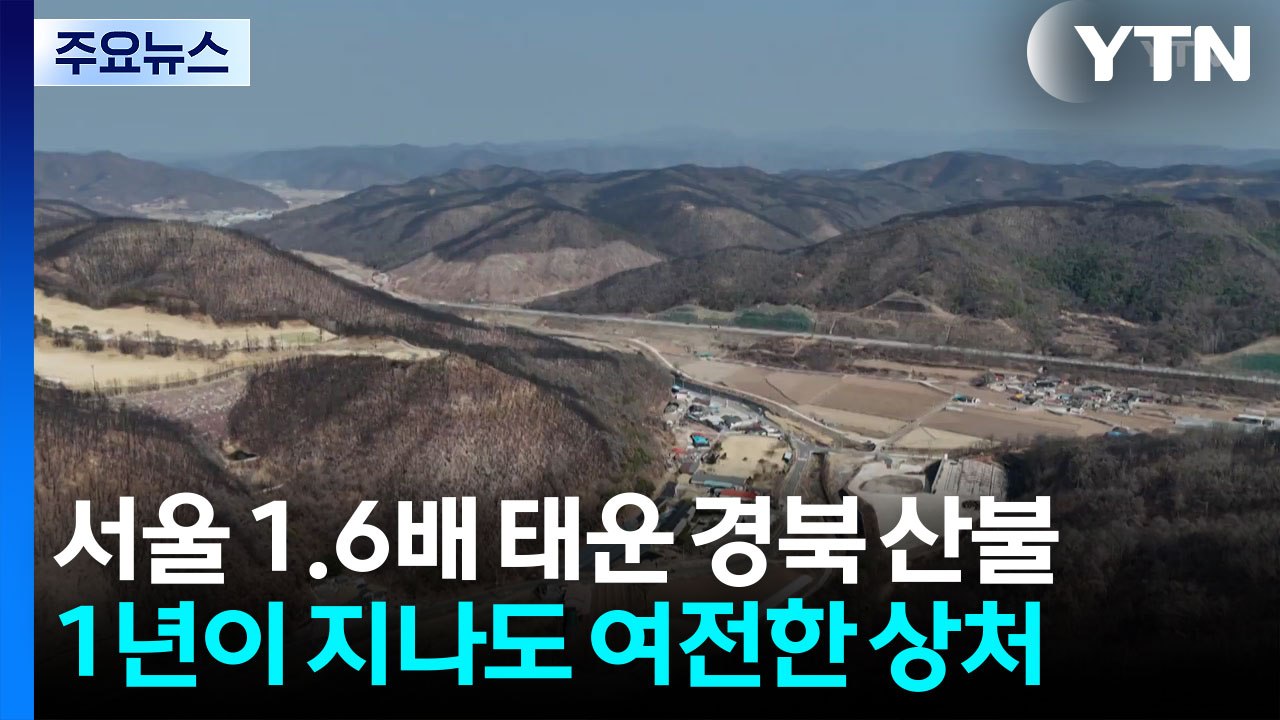 서울 1.6배 태운 경북 산불...1년이 지나도 여전한 상처 / YTN