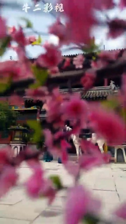 marrying the war goddess chinese drama