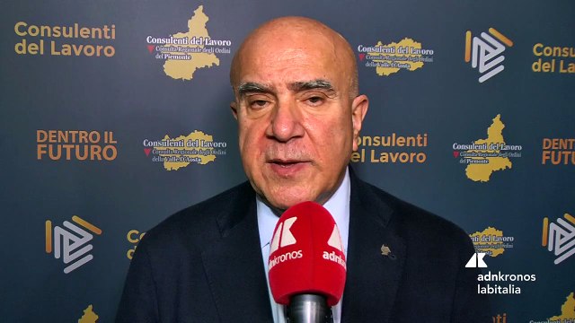 Professioni: De Luca (presidente CNO Consulenti Lavoro) Contro l'inverno demografico lavoro femminile e servizi alle famiglie