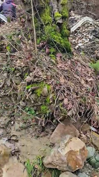 We are resuming gold mining where we left off. ⛏🤠