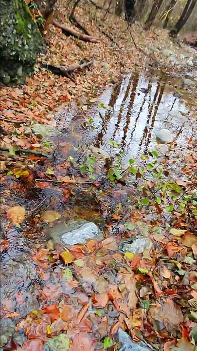 GOLD PROSPECTING