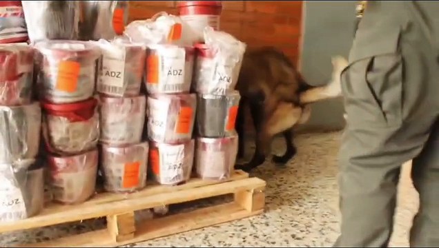 Incautan 282 kilos de cocaína camuflados en impermeabilizantes en el aeropuerto El Dorado