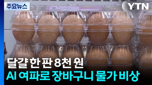 달걀 한 판에 8천 원 ...AI 여파로 장바구니 물가 '비상' / YTN