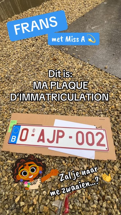Néerlandais