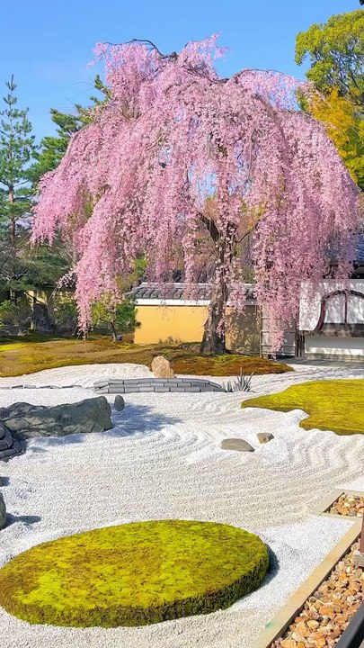 Kodaiji Temple 高台寺 kyoto
