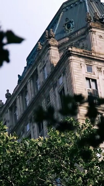 Widow to Queen - The Alpha's Resurrection #Dramabox