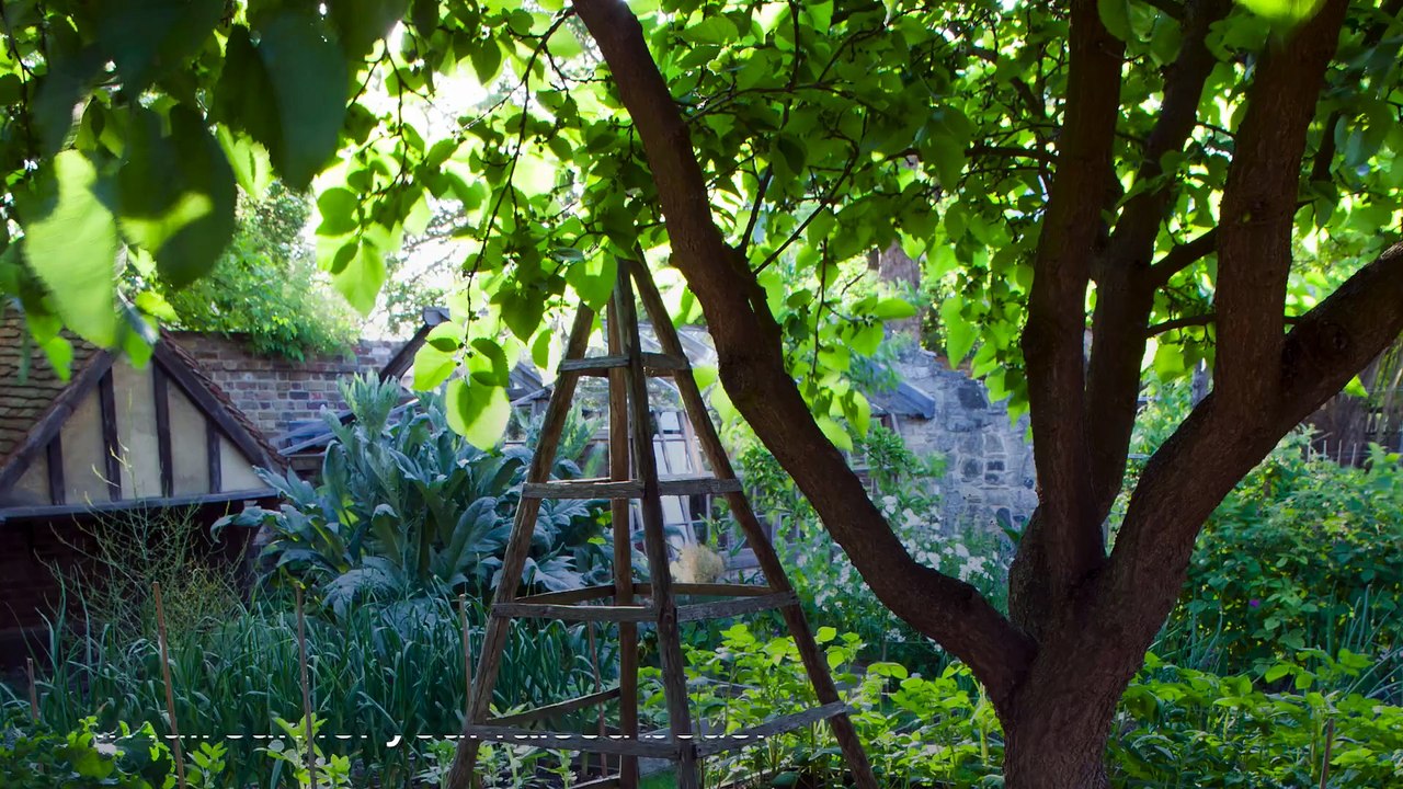 Raised Garden Bed Mistakes To Avoid