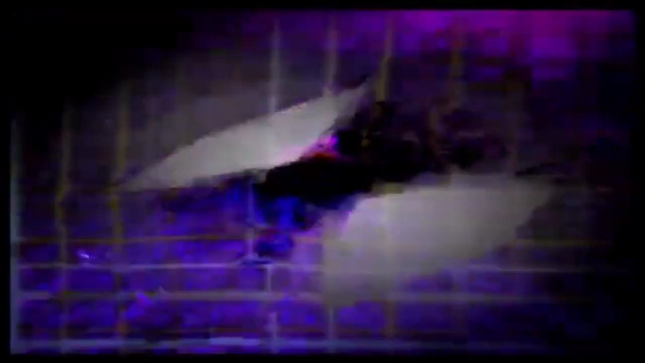 Videos #1