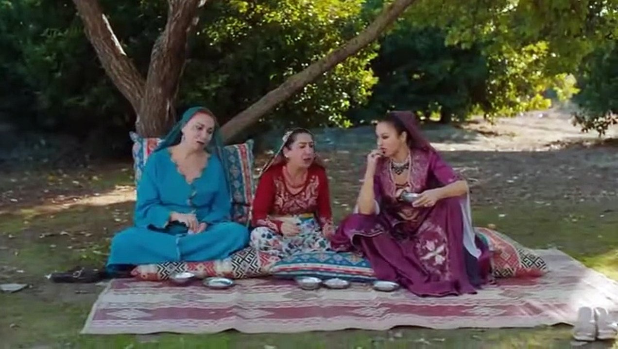 بوکی تازە ئەڵقەی 239
