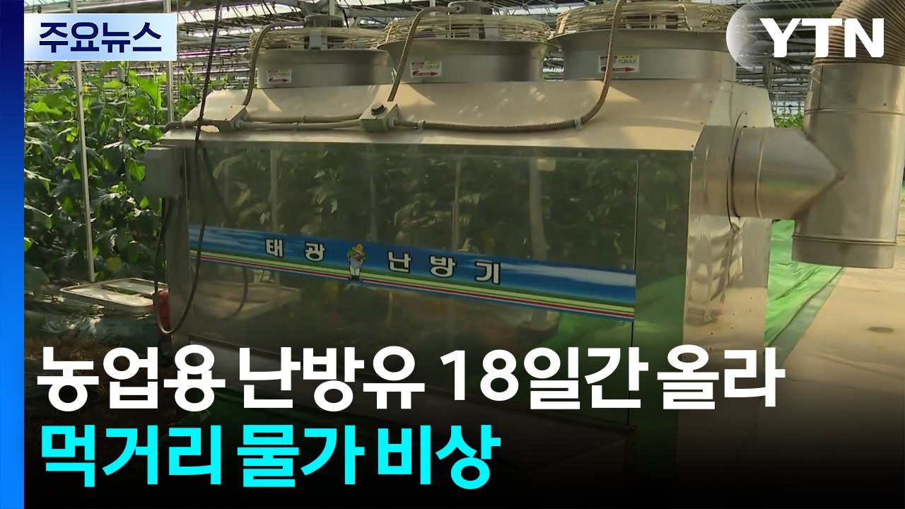 농업용 난방유 홀로 18일간 올라...먹거리 물가 비상 / YTN