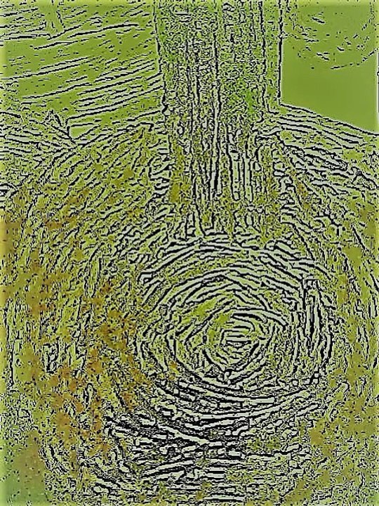 Domenico Scarlatti : Larghetto arranged for guitar