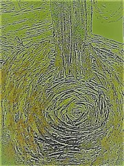 Domenico Scarlatti : Larghetto arranged for guitar