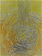 Domenico Scarlatti : Sonata arranged for guitar