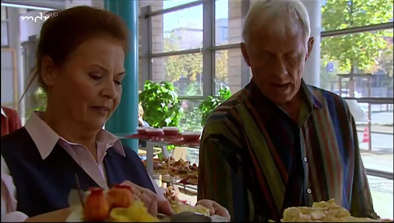 In aller Freundschaft 🏥 Folge 336 - Über den Tellerrand