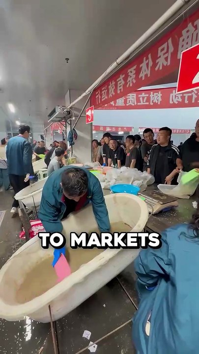 Why Farmers Buy Millions Of These Creatures 🤯