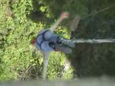 Mitko bungee jumping