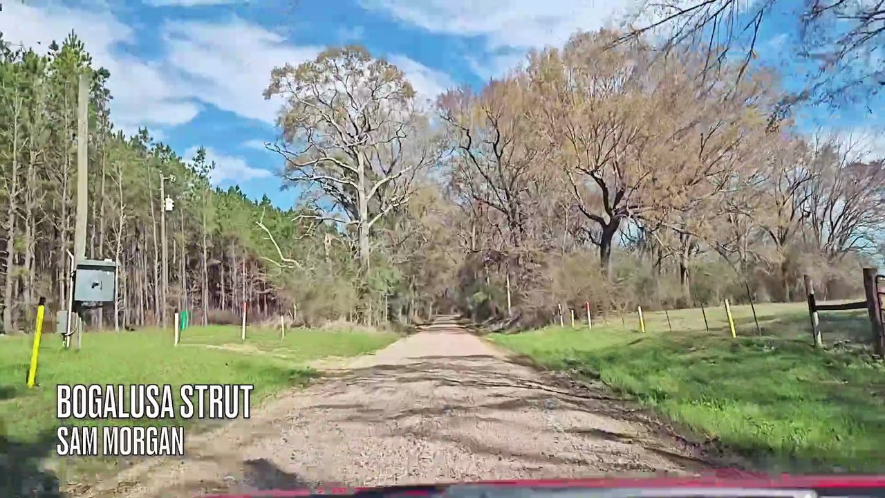 Sunday Drive with Sam Morgan (Bogalusa Strut)