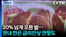 20% 넘게 오른 쌀에 달걀, 소, 돼지까지 뛰어...한은 연내 금리인상 전망도 / YTN