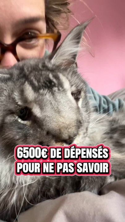 Chaque partage compte 🐾