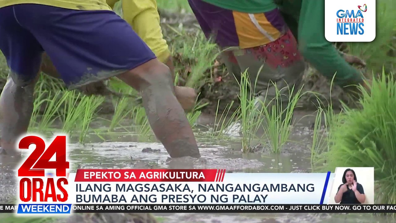 Mahinang ani ng palay at pagmahal ng bigas, nakikita kung magigipit ang supply ng abono | 24 Oras Weekend