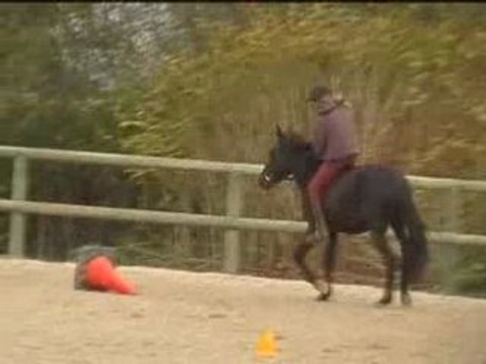 PoneyExpress11_10_03