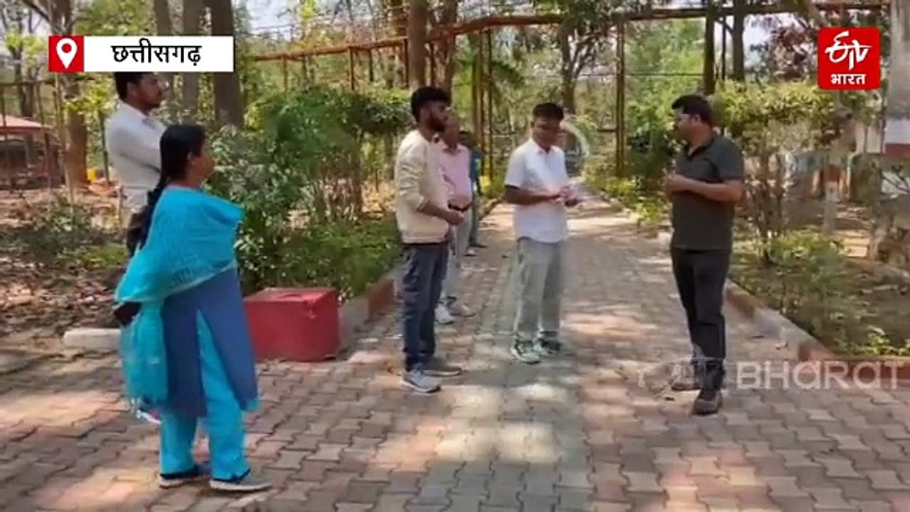 अंबिकापुर में 15 हिरणों की मौत पर वन विभाग में...