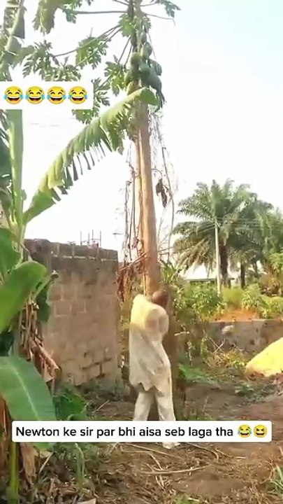 Try Not To Laugh: Nature vs. Humans 🐮🌴💨 Everything Went Wrong! Funniest Moments 🚑😱🔥