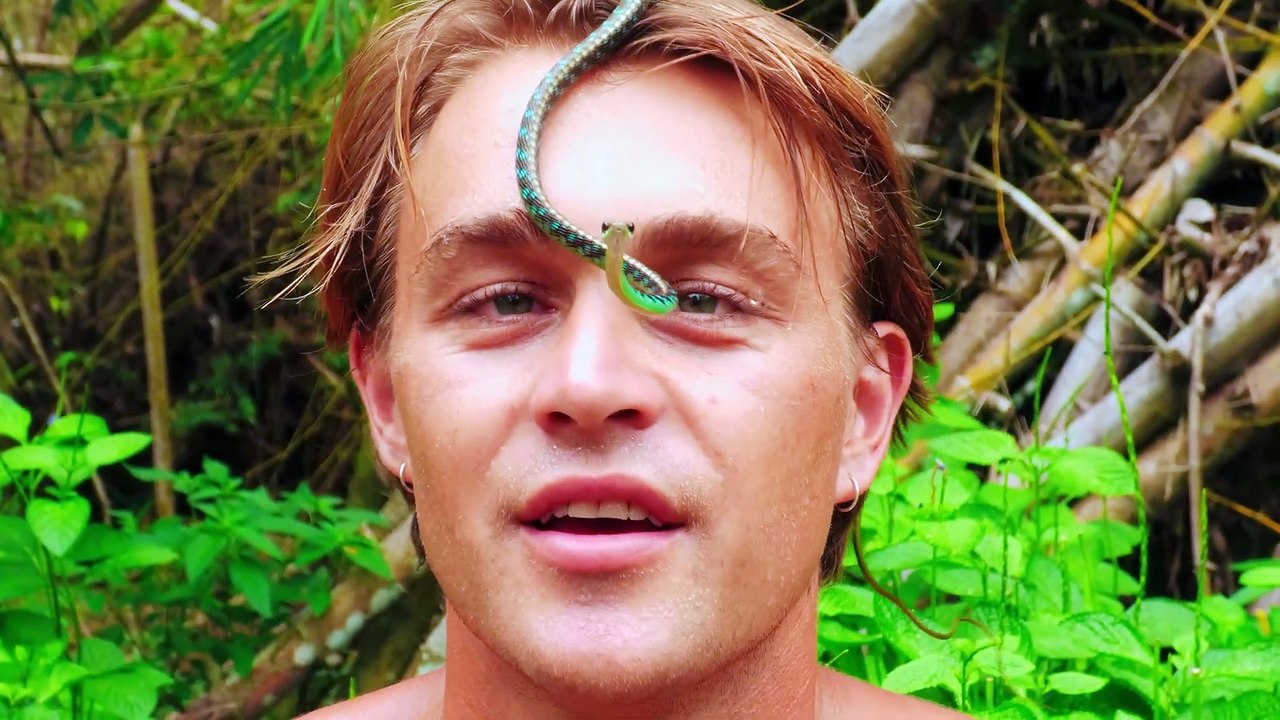Snakes and Surf Breaks (2026)