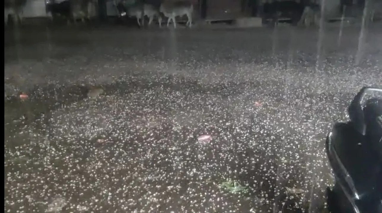खेतों में बिछी सफेद चादर...किसानों की बढ़ी चिंता