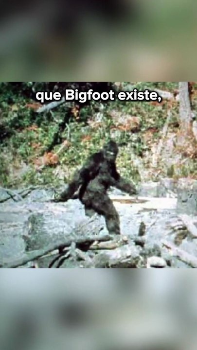Tué par Bigfoot ? 😨