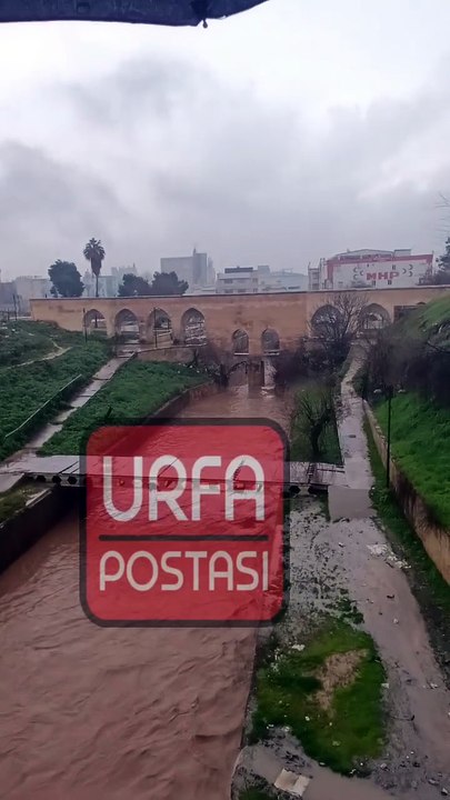 Şanlıurfa'da sağanak yağış etkisini artırıyor