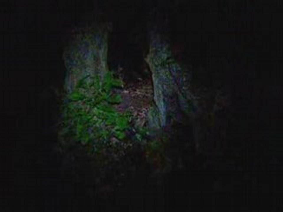 Ballade nocturne