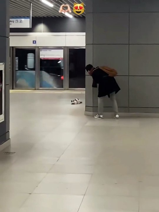 Yine bir kedinin insan seçme merasimi kameralara yakalanmış 😊