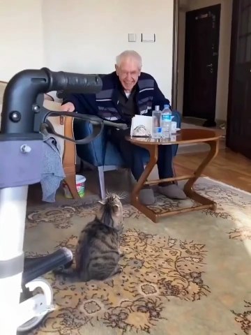 Kedinin yaşlı adamın oturduğu yere bakakalması…