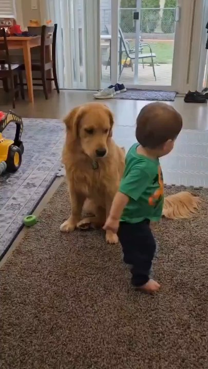 L'amour pur ne connaît pas de mots ! Regardez ces moments adorables entre les tout-petits et leurs meilleurs amis à fourrure. ❤️