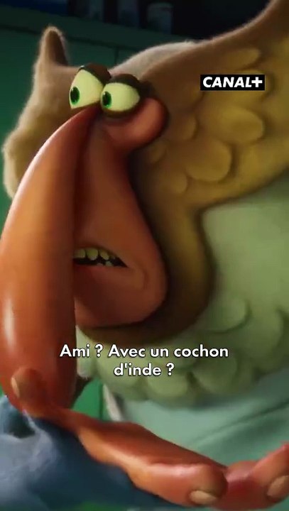 Oups… C'est ce qui s'appelle une erreur de jugement 👀