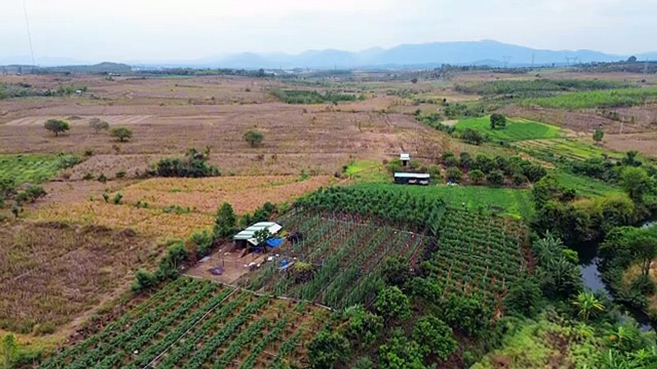 _LK Thay Áo Thay Tình _ Vũ Duy Long _ LK Rumba tuyển chọn