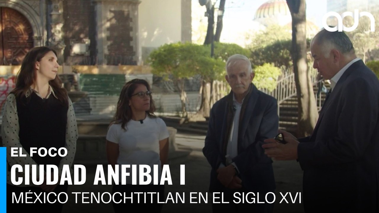Ciudad Anfibia l | El Foco