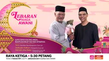 Lebaran Niaga AWANI: Gaya raya kucing anda, bantuan buat kucing istimewa
