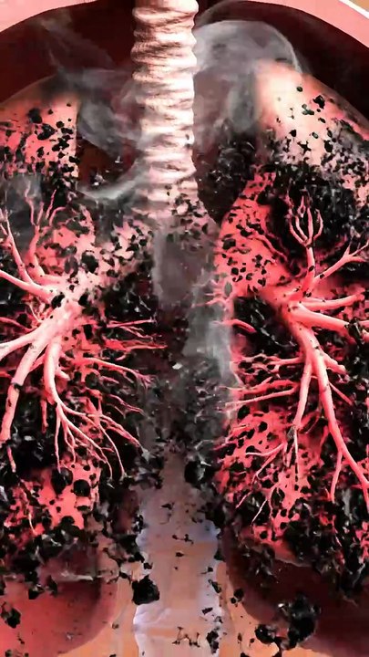 What Happens When You Quit Smoking | Day by Day Body Recovery (3D Animation)