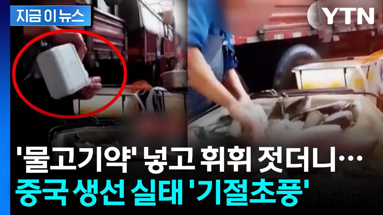 순식간에 축...'중국 생선 유통' 경악스러운 현장 포착 [지금이뉴스]  / YTN