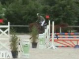 Espri hunter jumper horse 2004 by espri / Clinton