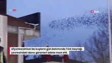 Kuşların Türk bayrağı çevresindeki mest eden dansı kamerada
