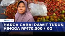 Pasca Lebaran, Harga Cabai Turun di Rp170.000 / KG | KOMPAS SIANG