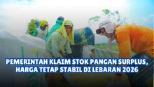 Pemerintah Klaim Stok Pangan Surplus, Harga Tetap Stabil di Lebaran 2026