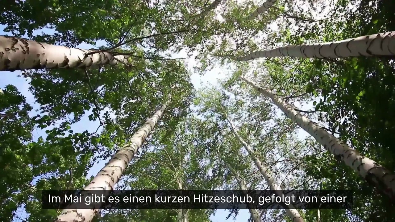Hundertjähriger Kalender für 2026/2027: Kalter Frühling, wechselhafter Sommer?