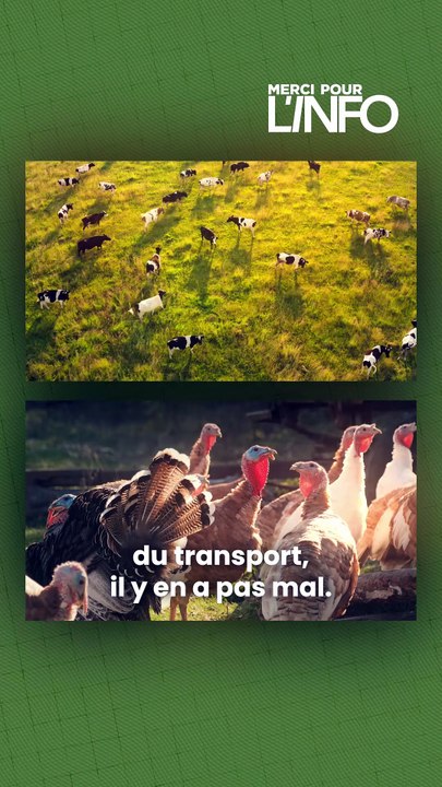 Le kebab, c’était le repas “pas cher” par excellence. Rapide, généreux, accessible.