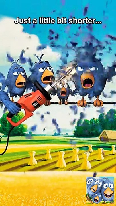 We all have that one bad haircut story 💇‍♂️ Talking Birds On A Wire Game