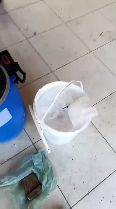 Cerca de 400kg de drogas são apreendidos dentro de casa no Agreste de Alagoas