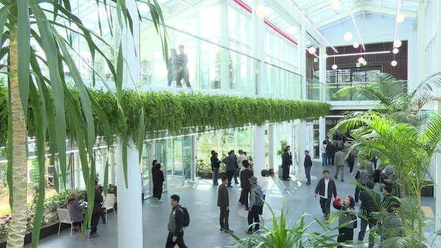 [울산] 정원 문화 체험하세요 ...울산정원지원센터 개관 / YTN